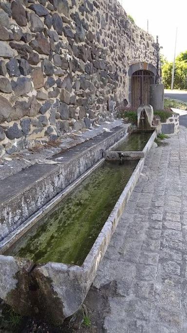 La Maisonnette Sous Le Cerisier Bergonne Dış mekan fotoğraf